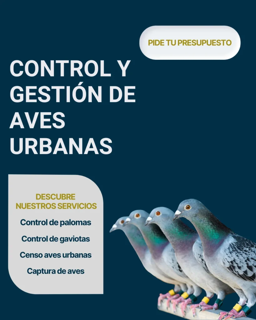 control de aves urbanas
