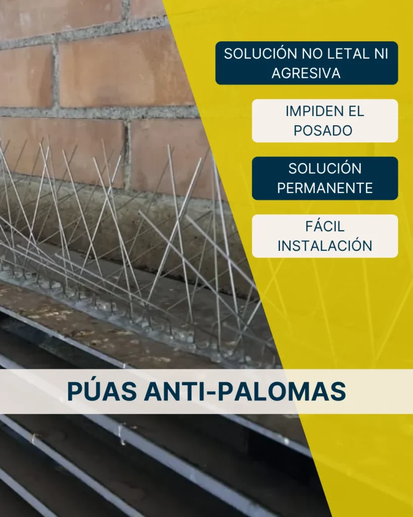 púas anti-palomas