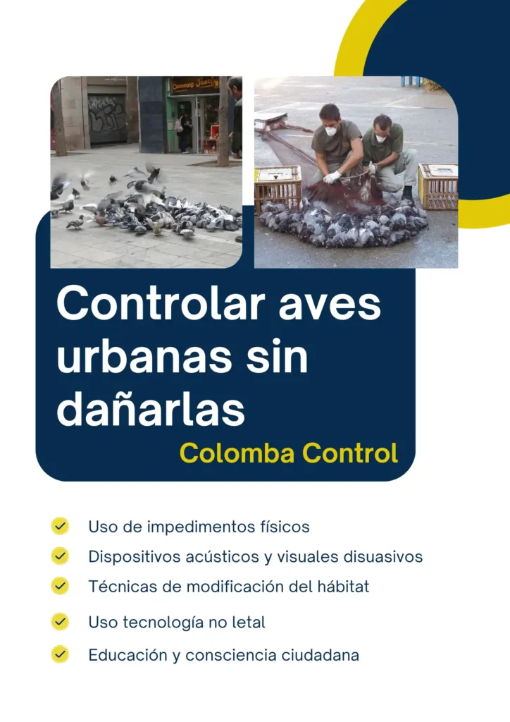 Métodos éticos para controlar aves urbanas sin dañarlas