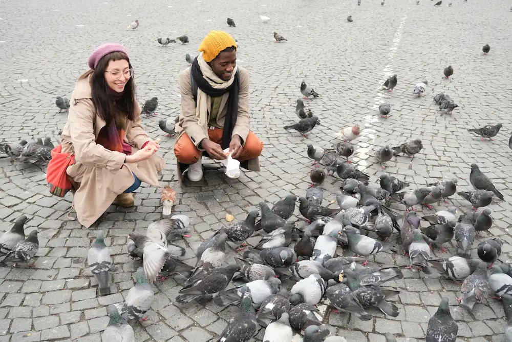 daño que causan las aves urbanas